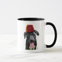 Zwarte labrador met fez