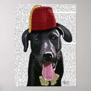 Zwarte labrador met fez poster
