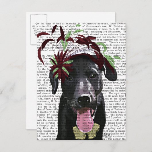 Zwarte labrador met groene fascinator briefkaart (Voorkant / Achterkant)