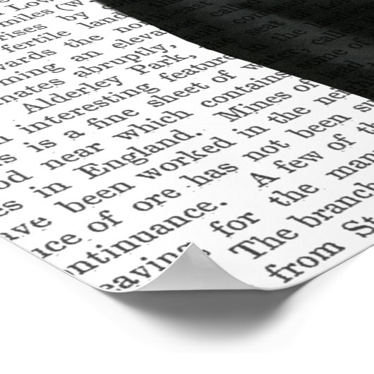 Zwarte labrador met groene fascinator poster (Hoek)