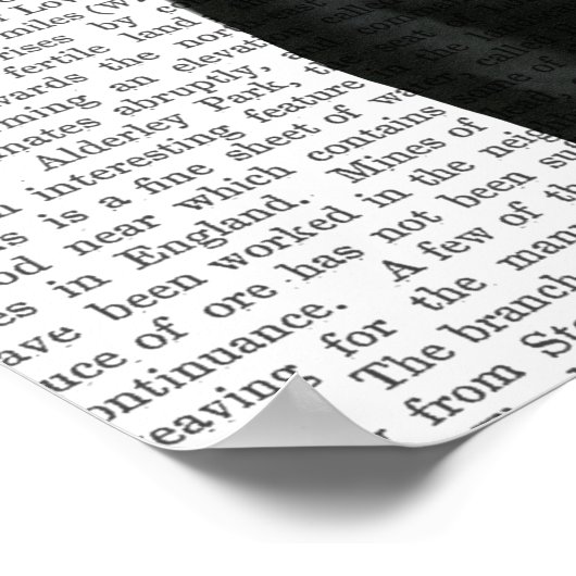 Zwarte labrador met groene fascinator poster (Hoek)