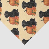Zwarte labrador met herfstbladeren en pompoen tissuepapier (Detail)