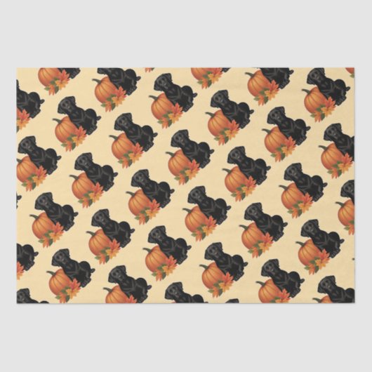 Zwarte labrador met herfstbladeren en pompoen tissuepapier (Voorkant)