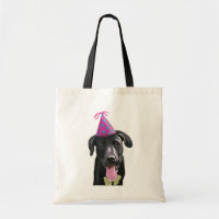 Zwarte labrador met partijPet