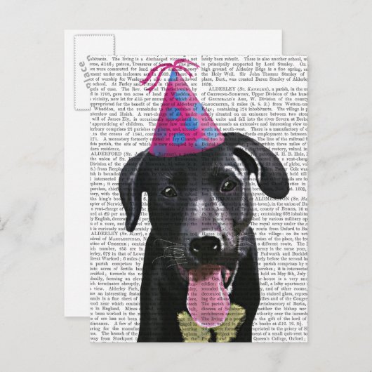 Zwarte labrador met partijPet Uitnodiging Briefkaart (Voorkant / Achterkant)