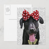 Zwarte labrador met rode bol aan kop briefkaart (Voorkant / Achterkant)