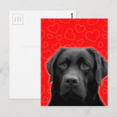 Zwarte labrador met rode harten briefkaart (Voorkant / Achterkant)