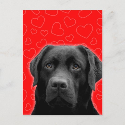 Zwarte labrador met rode harten briefkaart (Voorkant)