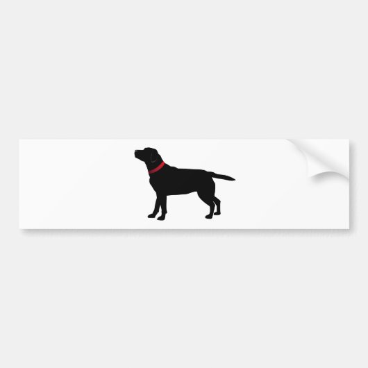 Zwarte labrador met rode kraag bumpersticker (Voorkant)