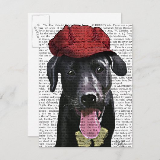Zwarte labrador met rood Pet Briefkaart (Voorkant / Achterkant)