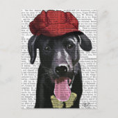 Zwarte labrador met rood Pet Briefkaart (Voorkant)