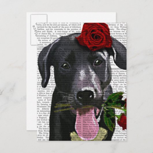 Zwarte labrador met Rozen Briefkaart (Voorkant / Achterkant)