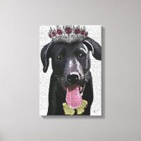 Zwarte labrador met Tiara