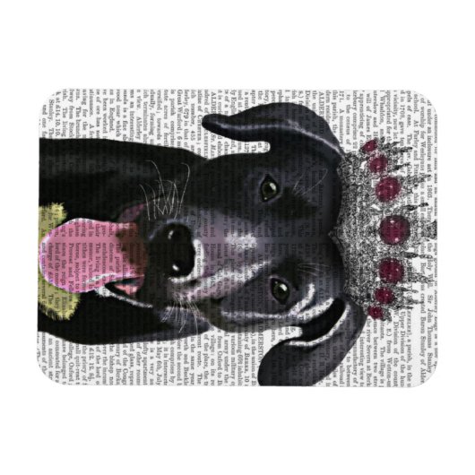 Zwarte labrador met Tiara Magneet (Horizontaal)