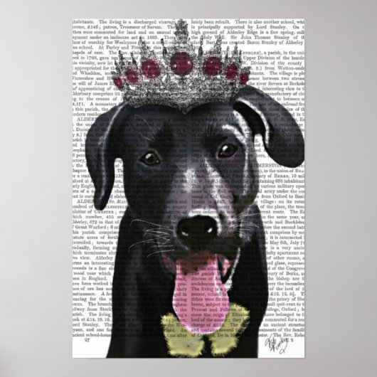 Zwarte labrador met Tiara Poster (Voorkant)
