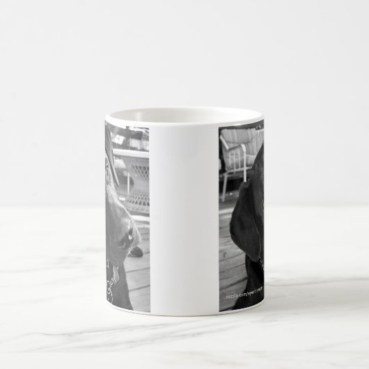 Zwarte labrador Mok (Center)