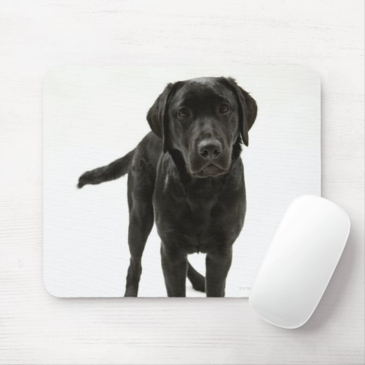 Zwarte labrador muismat (Met muis)