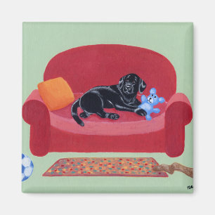 Zwarte labrador op de roze bank magneet