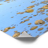 Zwarte labrador op de strand poster (Hoek)