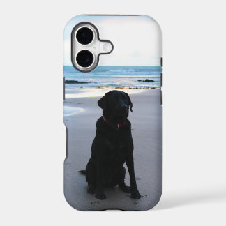 Zwarte Labrador op een strand