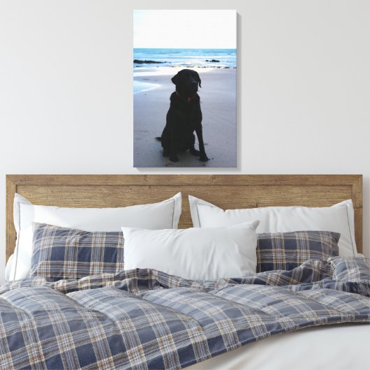 Zwarte labrador op een strand canvas afdruk (Insitu (Slaapkamer))