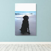 Zwarte labrador op een strand canvas afdruk (Insitu (Houten vloer))