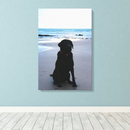 Zwarte labrador op een strand canvas afdruk (Insitu (Houten vloer))