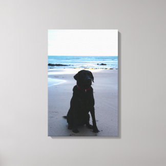 Zwarte labrador op een strand canvas afdruk