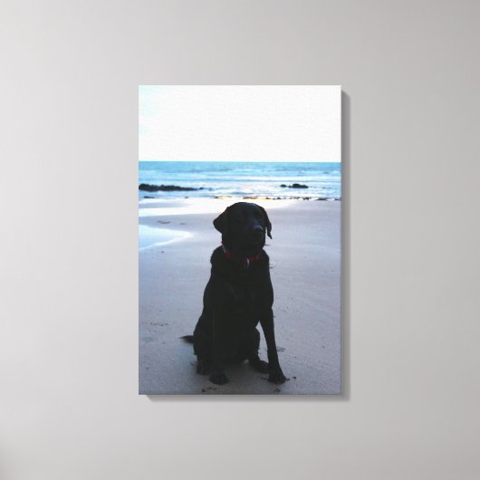 Zwarte labrador op een strand canvas afdruk (Voorkant)