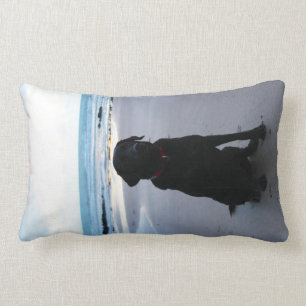 Zwarte labrador op een strand kussen