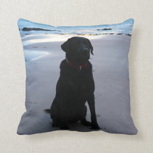 Zwarte labrador op een strand kussen