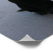 Zwarte labrador op een strand poster (Hoek)