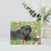 Zwarte Labrador Puppy Herfst - Schattige Dog Black Briefkaart (Staand voorkant)