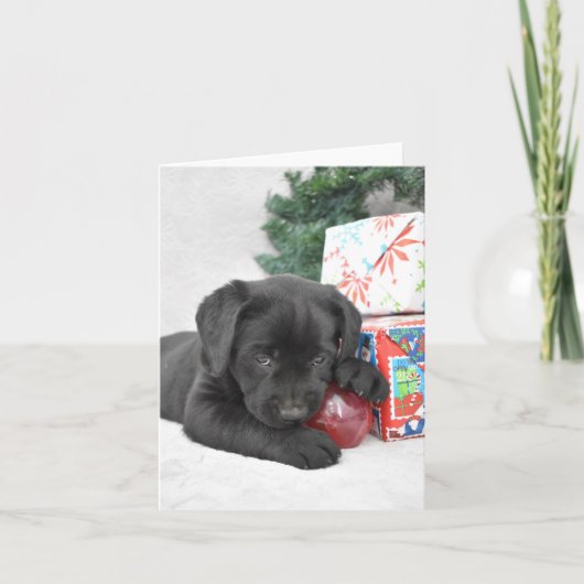 Zwarte labrador puppy met kerstcadeaus bedankkaart (Voorkant)