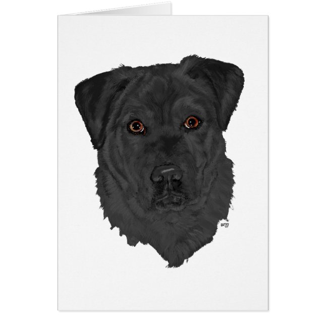 Zwarte Labrador Retriever (Voorkant)