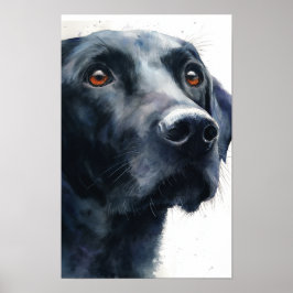 Zwarte labrador retriever aquarel poster
