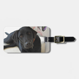 zwarte labrador Retriever Bagagelabel