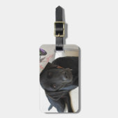 zwarte labrador Retriever Bagagelabel (Voorkant verticaal)