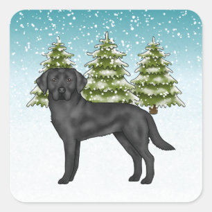 Zwarte Labrador Retriever Blauwe Besneeuwde Winter Vierkante Sticker