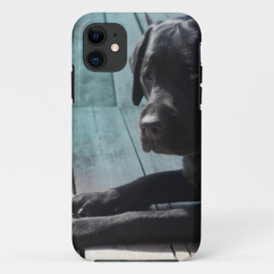  zwarte labrador Retriever iPhone 11 Hoesje