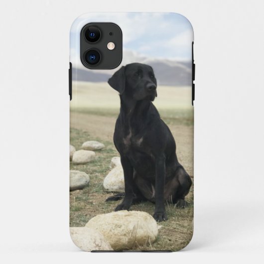  zwarte labrador Retriever Case-Mate iPhone Case (Achterkant)