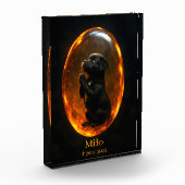 Zwarte Labrador Retriever-herdenkingsfotoblock Fotoblokken (Links)