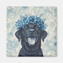 Zwarte Labrador Retriever Hond Blauwe Bloemen Keuk
