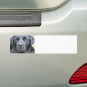 Zwarte Labrador Retriever Hond Bumpersticker (Op auto)