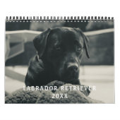 Zwarte Labrador Retriever Hond Pet Foto Kalender (Hoes)