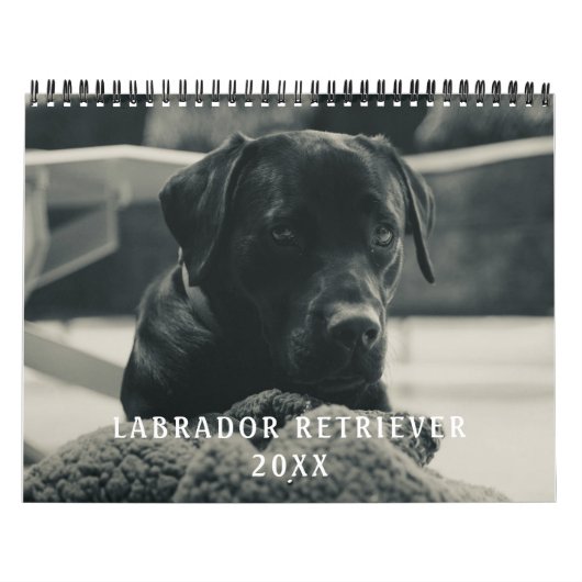 Zwarte Labrador Retriever Hond Pet Foto Kalender (Hoes)