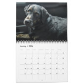 Zwarte Labrador Retriever Hond Pet Foto Kalender (Jan 2026)