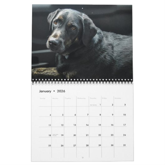 Zwarte Labrador Retriever Hond Pet Foto Kalender (Jan 2026)