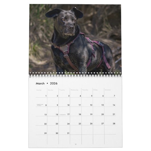 Zwarte Labrador Retriever Hond Pet Foto Kalender (Mar 2026)