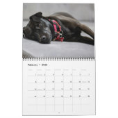 Zwarte Labrador Retriever Hond Pet Foto Kalender (Feb 2026)